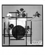Orchidea konstrukt II. (P. Mondrian)_2003/2004
