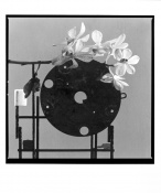 Orchidea konstrukt III. (V.Boštík) _2003/2004