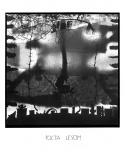 Homage to Forests_1991/1992