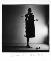 Dreaming Hero_1988