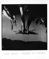 Thousand Wonders (maybe more)_1988