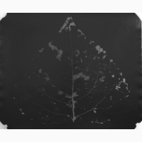 1R8A0045.JPG