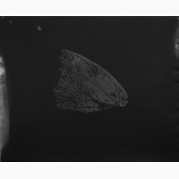 1R8A0068.JPG