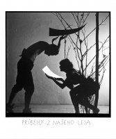 Stories from our wood_1986